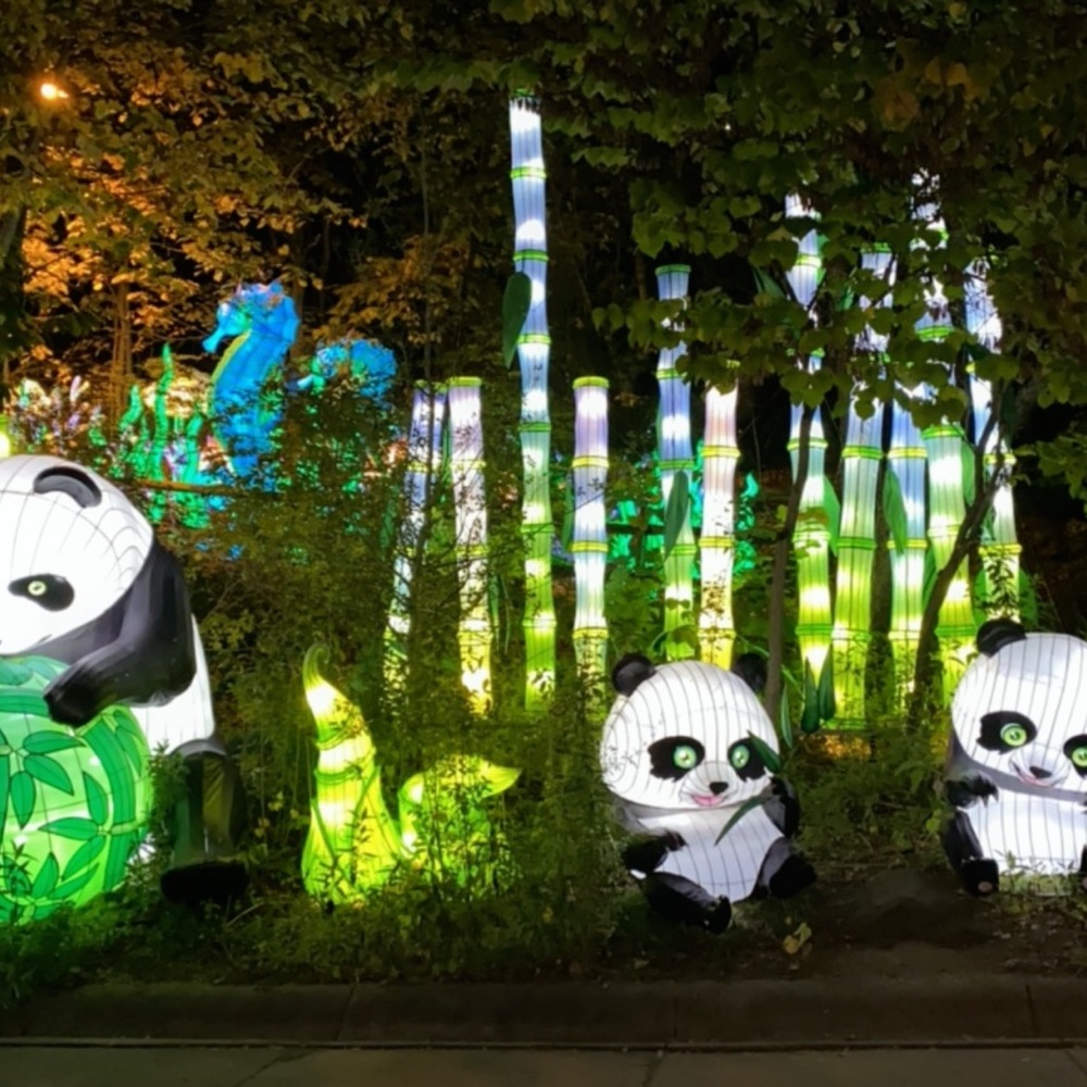 Meet your Posher, Tayler